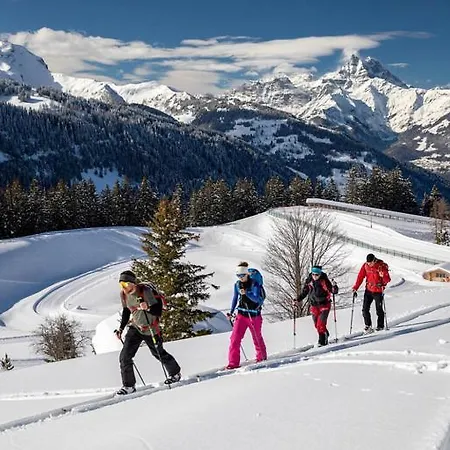 Duplex Montagne *