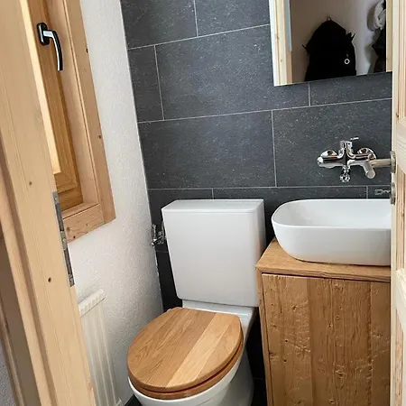 Duplex Montagne Διαμέρισμα Gryon